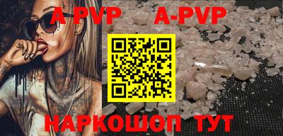 гашик Моздок