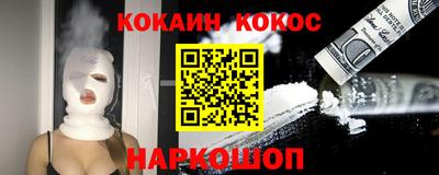 гашик Моздок