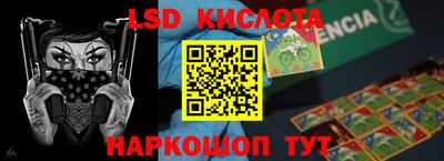 гашик Моздок