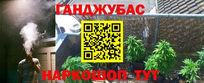 гашик Моздок