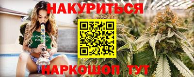 гашик Моздок