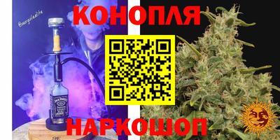 гашик Моздок