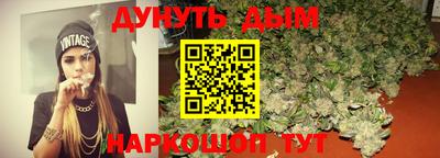 гашик Моздок