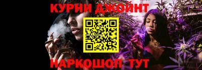 гашик Моздок